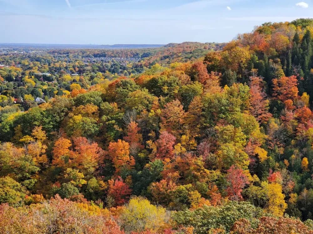 Beamer Memorial Conservation Area