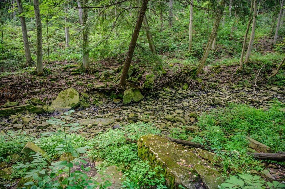 Beamer Memorial Conservation Area